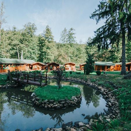 Vidra Park Otel Sicasău Dış mekan fotoğraf