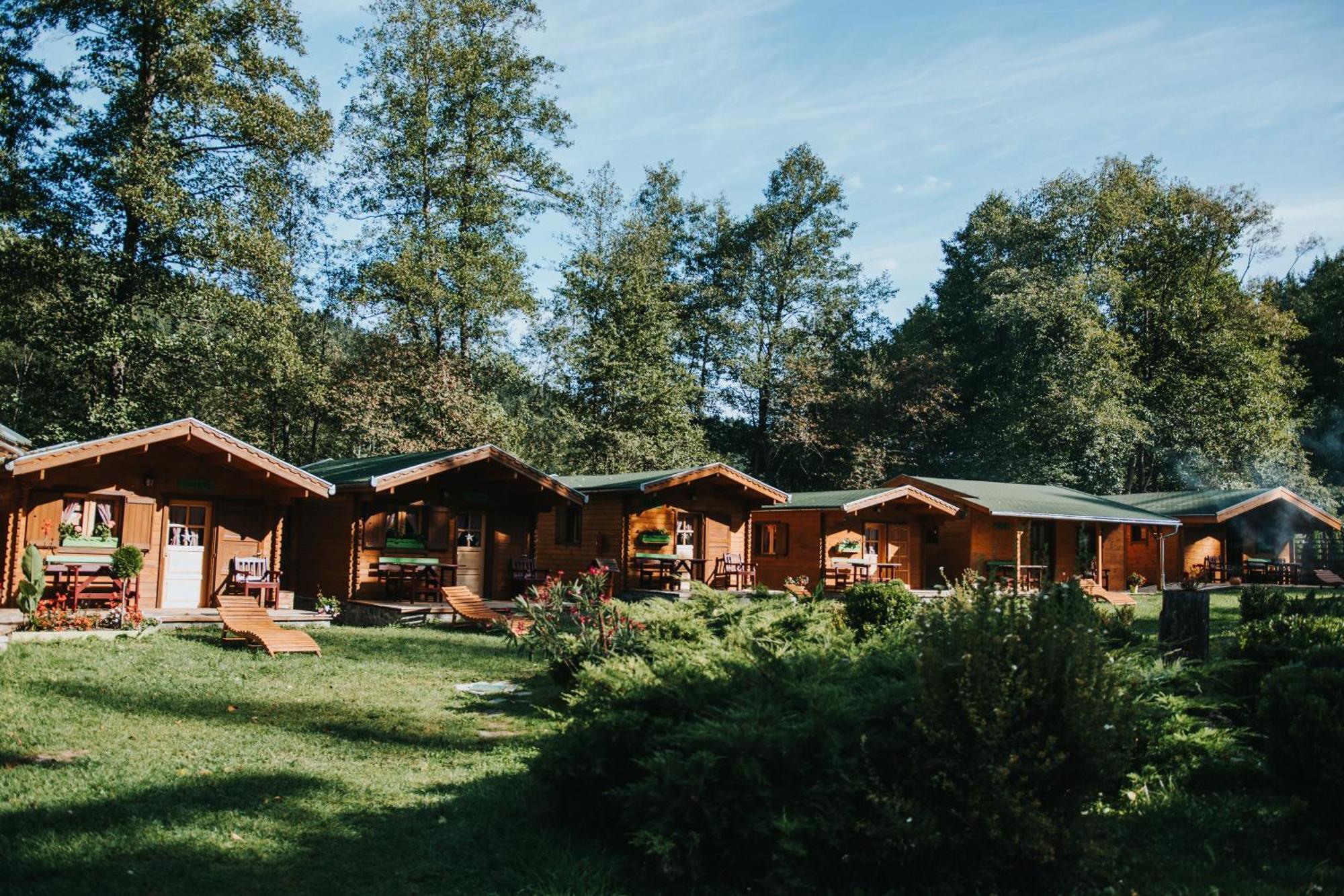 Vidra Park Otel Sicasău Dış mekan fotoğraf