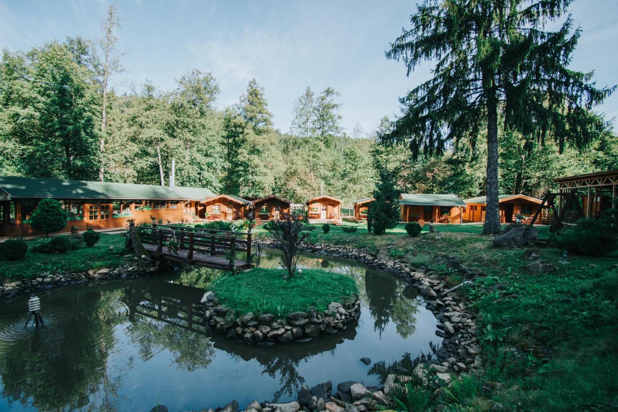 Vidra Park Otel Sicasău Dış mekan fotoğraf