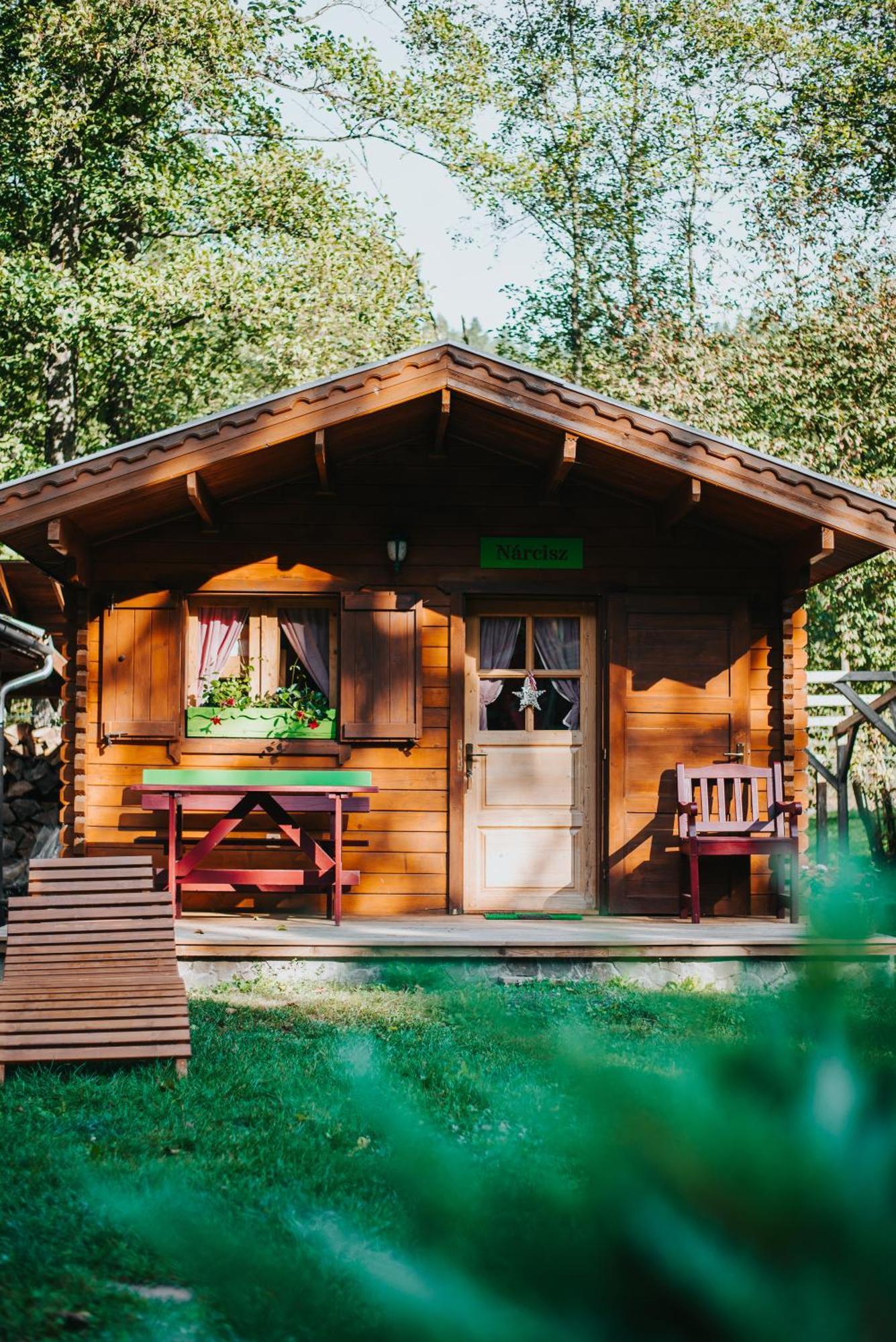 Vidra Park Otel Sicasău Dış mekan fotoğraf