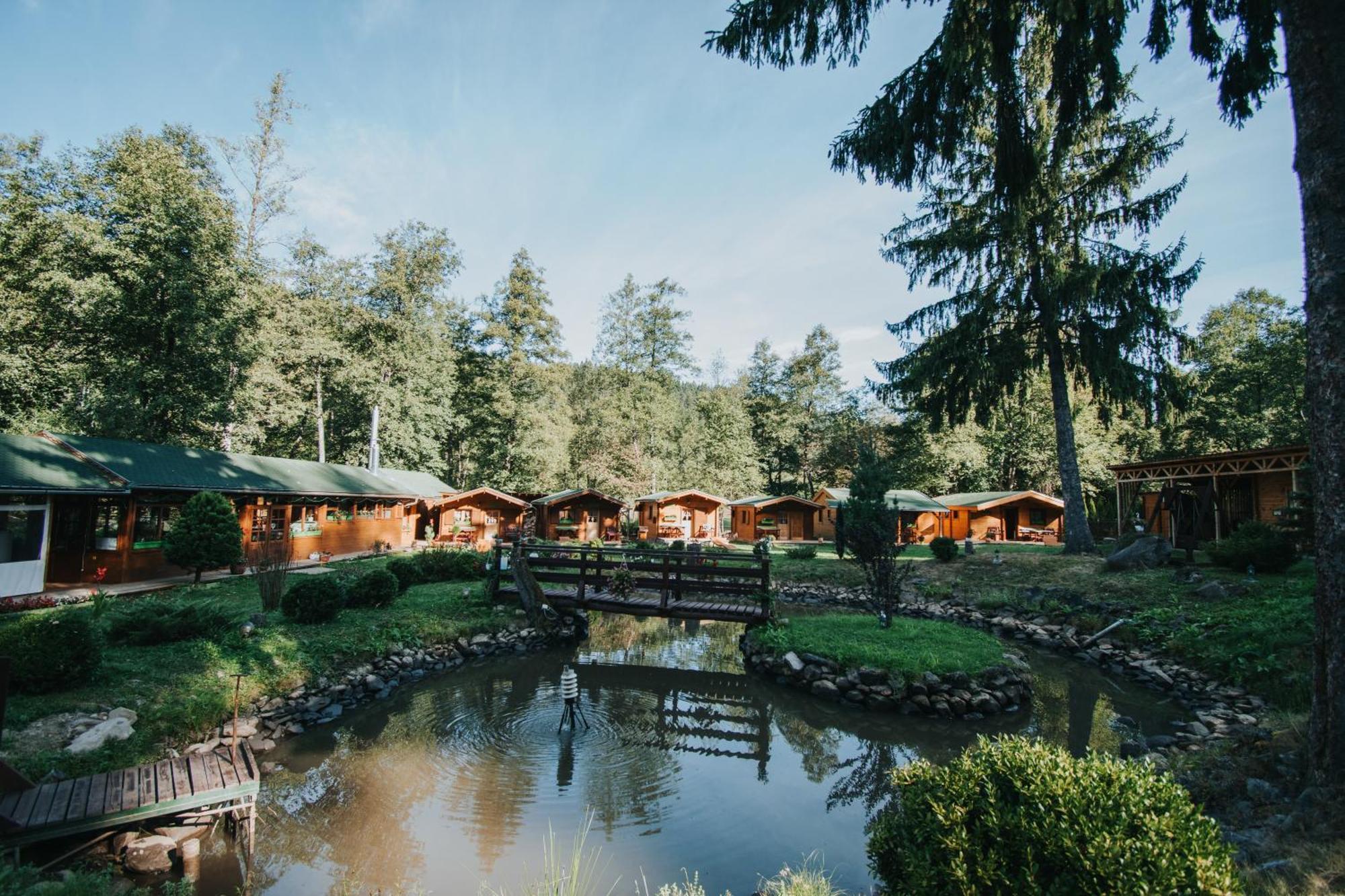 Vidra Park Otel Sicasău Dış mekan fotoğraf