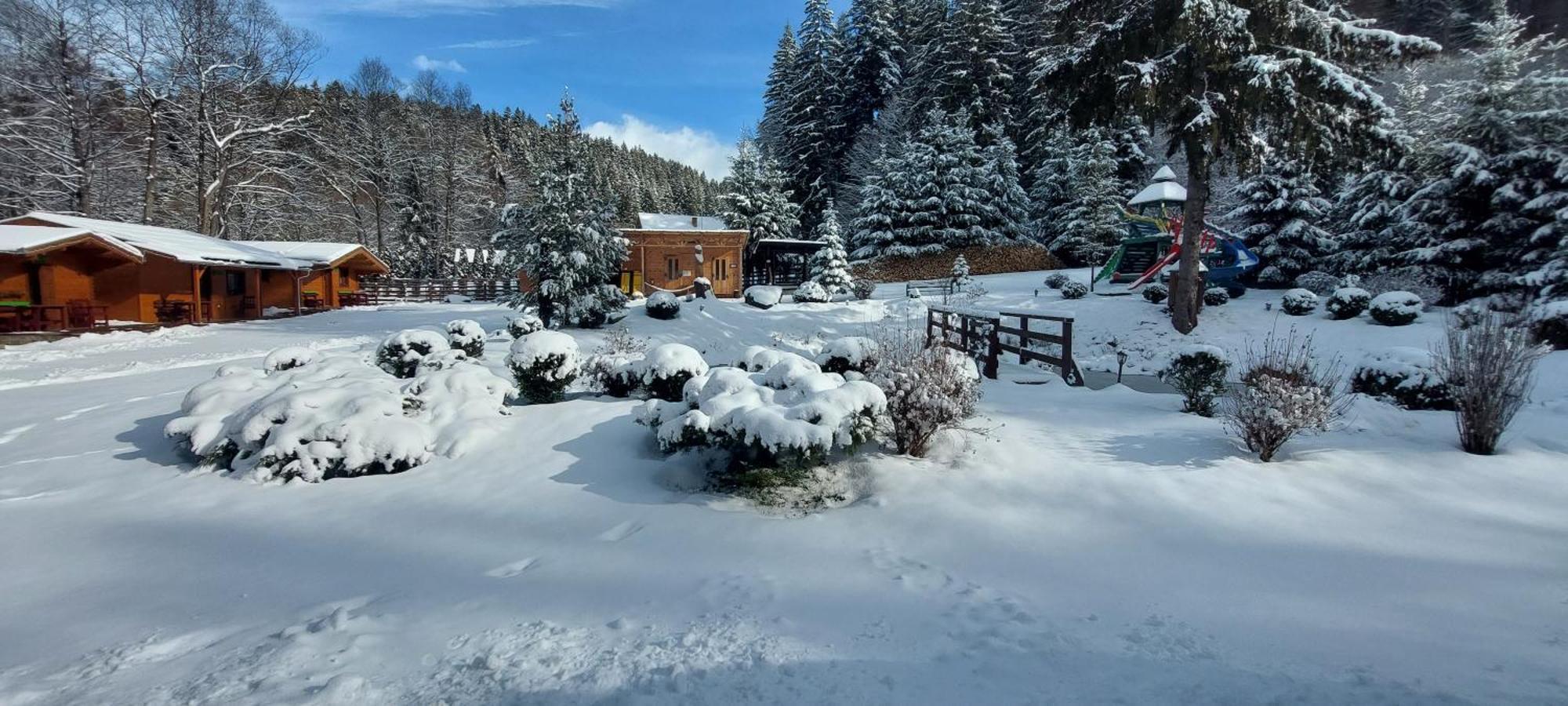 Vidra Park Otel Sicasău Dış mekan fotoğraf