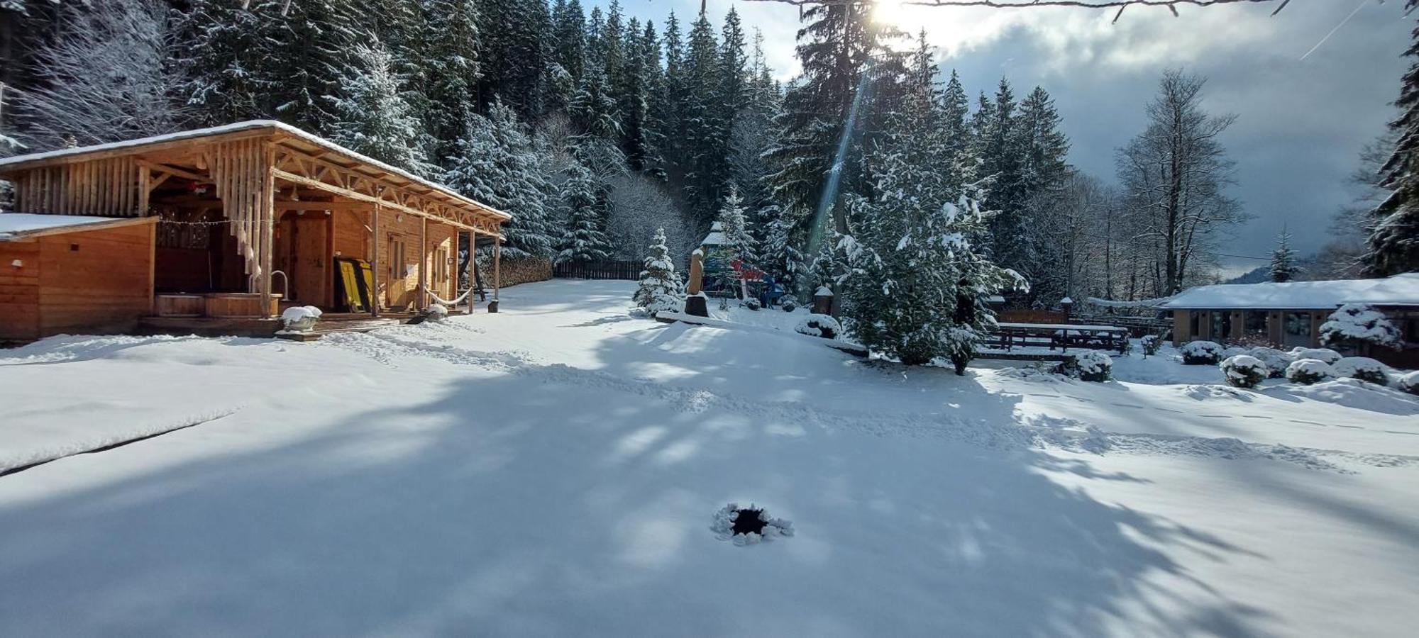Vidra Park Otel Sicasău Dış mekan fotoğraf